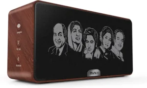 Saregama Caravan Mini