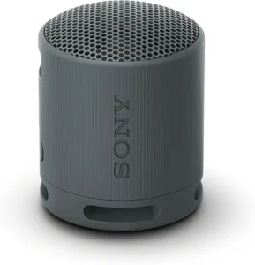 Sony SRS-XB100 Bluetooth Speaker 