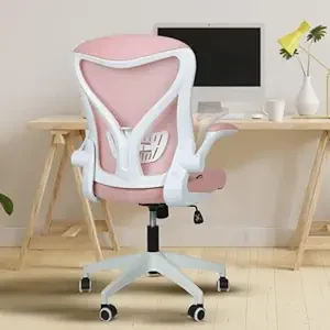 DROGO Premium Ergonomic Office Chair 