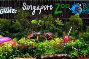 Singapore Zoo and Bird Park