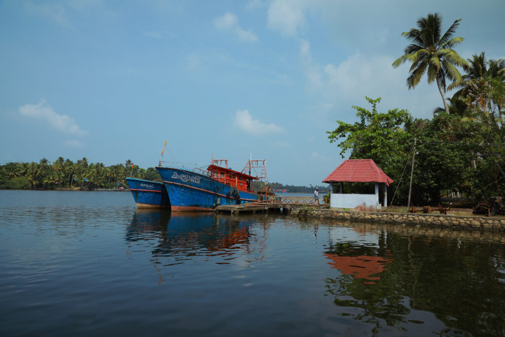 Alumkadavu Backwaters