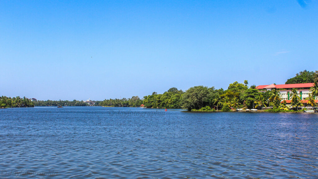 Ashtamudi Lake Backwaters